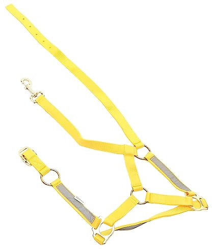 HONMEET Reflektierend Für Reiten Bequemes Material Für Langes Tragen