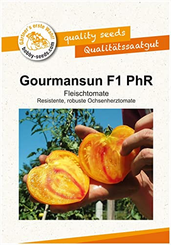 Tomatensamen Gourmansun PhR F1 Fleischtomate Portion Gelb