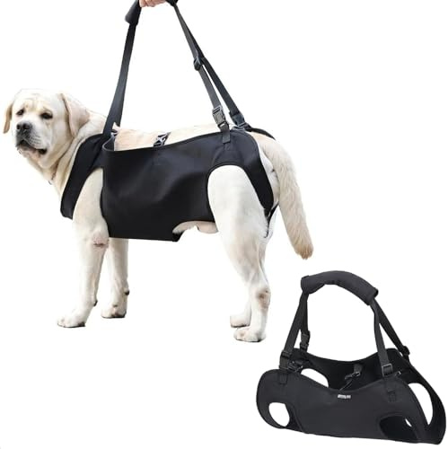 Mbracatura Per Cani Di Sollevamento,Imbracatura Per Cani Per Zampe Posteriori,Supporto per Cane Imbracatura di Riabilitazione,Cinghie imbottite regolabili,per animali domestici e riabilitazione (XL)