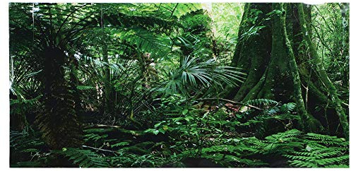 Pssopp 3D Effect Rainforest Poster Self-adhesive Reptile Terrarium Aquarium Backdrop Fish Tank Wall Sticker Aquarium Background Underwater Poster PVC Decor Wall Paper(61×30cm)