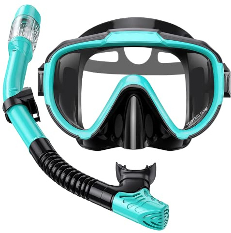 Lealinga Snorkel Set, Panoramic View Snorkel Mask, Anti-Fog Dry Top Snorkel Kit with Travel Bag, Diving Set for Snorkeling Scuba Diving Swimming Travel for Adults Kids Large