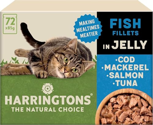 Harringtons Complete Wet Adult Cat Food Pouch Fish in Jelly Pack 72x85g | Making Mealtimes Meatier - 80% Freshly Prepared Meat & Fish - Grain Free for Sensitive Tummies - Support Vision & Heart Heath