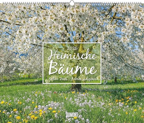 DUMONT - Heimische Bäume 2026 – Wandkalender 60 x 50 cm Naturfotografie, für Naturliebhaber & Gartenfreunde: Native Trees, Arbres indigènes