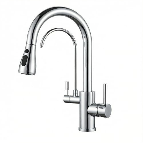 FORIOUS Rubinetto Lavello Cucina, Miscelatore a tre vie, Girevole a 360° Rubinetto Cucina con Doccetta Estraibile e Filtro Dell'acqua, Miscelatore a doppia maniglia, Cromo Lucido