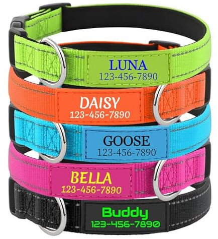 Collare Cane Personalizzato con Nome - Collare Ricamato Rifrangente | Nylon Morbido Regolabile | 5 Taglie (XS-XL) per Cani Piccoli Media Grandi