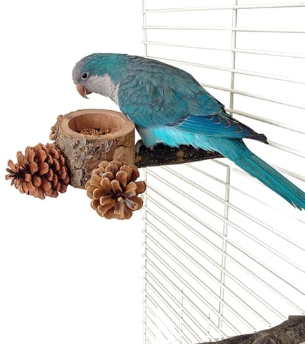 Ugglestolpe Husdjursmatare Leksak Och Bur Tillbehör För Fåglar | Naturliga Fågelsittpinnar Kanariefågelsleksaker För Conure, Tvillingparakit, Kanariefågel, Kakadua, Fink Och Fodersökning,