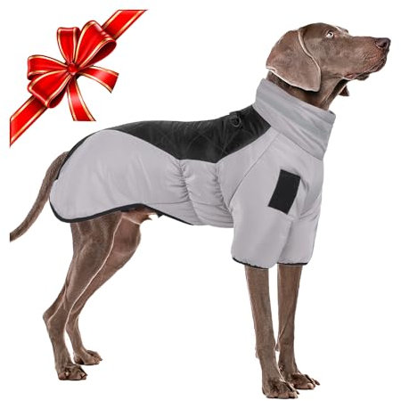Winter-Hundejacke Warmer Hundemantel, verstellbare Hundebekleidung Winddichter Hundepullover Reflektierende Hundeweste mit D-Ring Weiche 2 Bein Hundesportweste Skianzug Hundebekleidung Outfit, 5XL