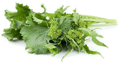 La zappa Semi di cima di Rapa piante per orto e giardino (Leccese novantina)