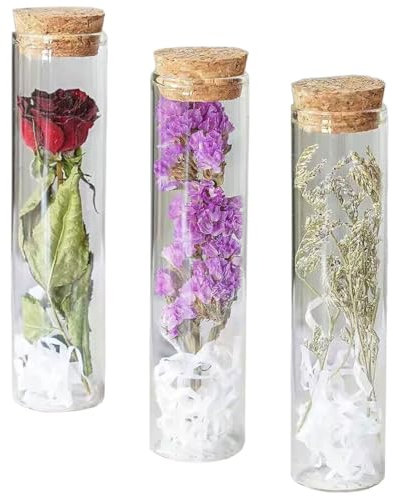 LEEQ Trockenblumen in Reagenzglas mit Korken - getrocknete Blumen Deko in Glasflasche, Natürliche getrocknete Blumen, getrocknete Rose für Heim-Party Und Hochzeitsdekoration, 3pcs