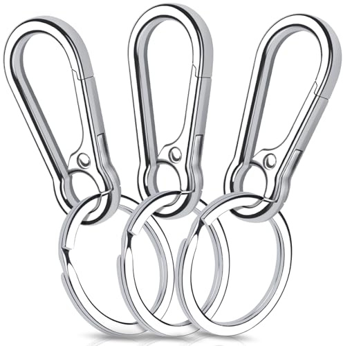 Caianwin 3 Pezzi Moschettone Portachiavi, Gancio Portachiavi, Uomo, Metallo Moschettone Piccolo per Appendere Nello Zaino, Auto (Silver)