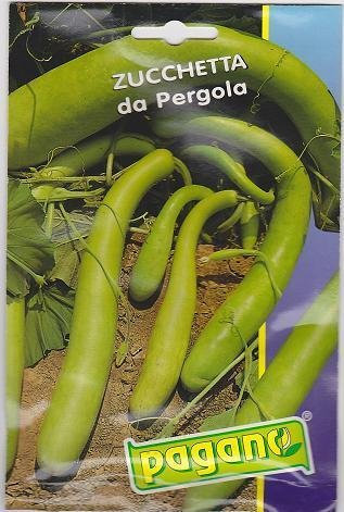 Semi Zucchine Da Pergola - Bower zucca Seeds - 5 grammi