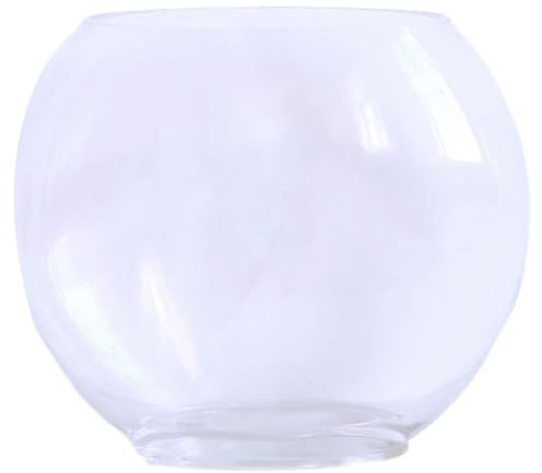 FRCOLOR Réservoir De Poisson en Verre Transparent 9.84X7.87X2.95 Pouces Aquarium Multifonction pour Décoration Maison Bureau Cadeau Élégant