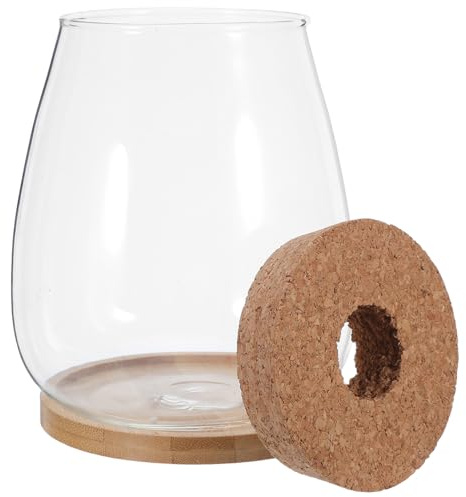 NIYANGLE Station de Propagation Hydroponique 2 Pièces en Verre Transparent avec Bouchon en Liège Perforé et Plateau en Bambou – Vase Hydroponique Décoratif pour Plantes D’intérieur,