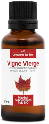 Vigne Vierge BIO - 30mL - (Parthenocissus Tricuspidata) – Macérat concentré de bourgeons frais