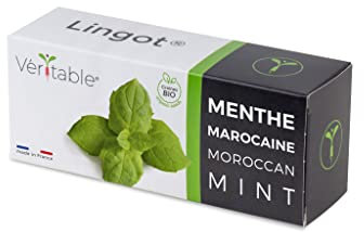 Lingot® Menthe Marocaine BIO - Compatible Potager d'Intérieur Véritable® et Exky® - Recharge prête à l'emploi - Substrat avec Graines Intégrées…