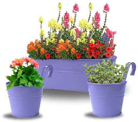 Trendi Set of 3 Hanging Plant Pots, Flower Planters with Detachable Hook for Balcony Fence, Garden, Home Decor, Indoor/Outdoor Wall Planters for Railings & Fences