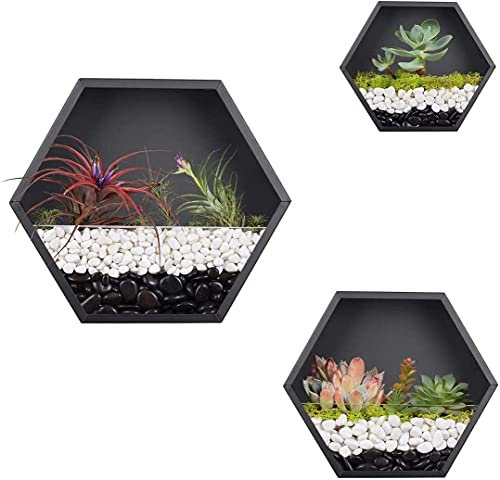 Set mit 3 sechseckigen Wand-Pflanzgefäßen – Moderne Hängevasen aus weißem Metall und Glas für Zimmerpflanzen, vertikales Eisen-Terrarium, stilvolle Luftpflanzenhalter, schicke Wanddekoration