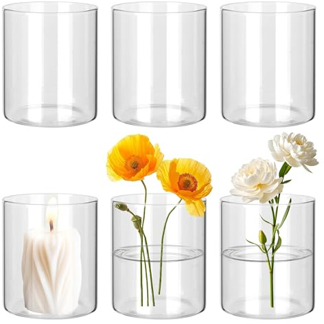 Set di 6 Piccoli Vasi in Vetro, Vasi da Tavolo,Cmvasi per Piante da Interno, Vaso in Vetro Idroponico,Mini Vasi per Fiori per Decorazione da Tavolo, Centrotavola, Decorazioni per Matrimoni, Fai da te