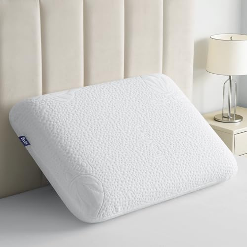 BedStory Memory Foam Kopfkissen 60x40CM×10CM-Ergonomisches Nackenstützkissen-Atmungsaktives Kissen mit abnehmbarem und waschbarem Bezug- Visco kopfkissen Öko-Tex Zertifiziert
