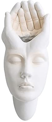 CDQL Wandvase Zum Aufhängen, Moderner Skulpturen-Pflanztopf für Wanddekoration, Einzigartiger und Langlebiger Blumentopf aus Kunstharz, Perfekt für den Innen- und Außenbereich,