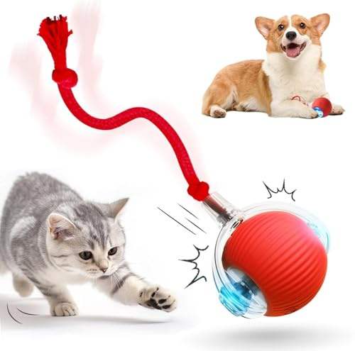 HOIDOKLY Jouets interactifs pour chien et chat, 2026 nouvelles boules intelligentes roulant automatiquement à 360°, boule roulante, jouet de poursuite durable à mouvement rapide pour chats d’intérieur