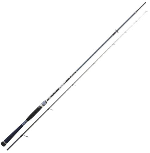 Hearty Rise Divinity Rute 230cm 40-120g - Spinnrute für Dorsche & Hechte, Blinkerrute zum Angeln im Salzwasser & Süßwasser, Raubfischrute, Jigrute für Raubfische