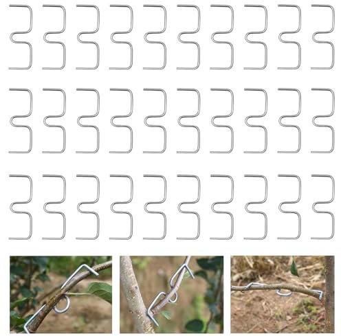 30 Pièces Écarteurs de Branches pour Arbres Fruitiers - Supports de Branches en Métal Résistant, Écarteurs Réglables pour Jardin, Clips de Formation en M pour Pommiers, Poiriers, Cerisiers
