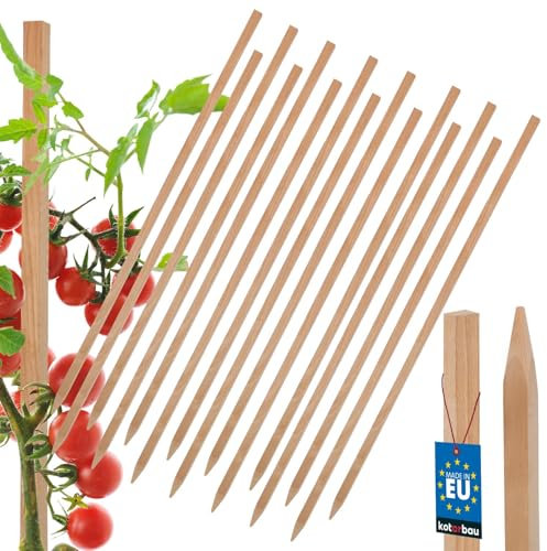 KOTARBAU® Juego de 15 varillas de tomate para plantas, 50 cm, postes de madera, estacas de madera puntiagudas, soporte para vallas, postes de madera para estabilizar plantas