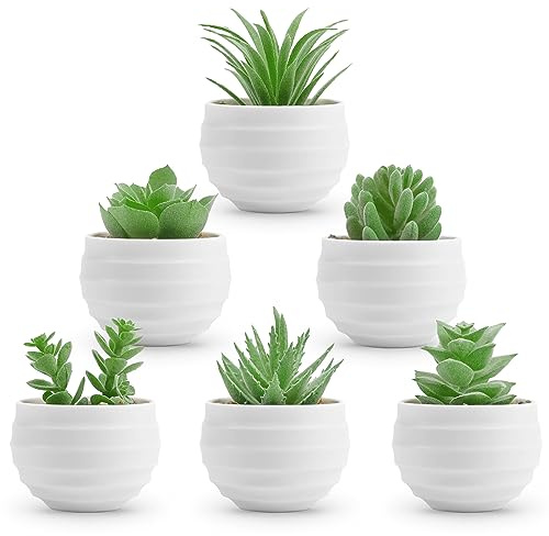 Der Rose 6 Pack Mini Fake Succulent Plants in White Pots for Room Decor