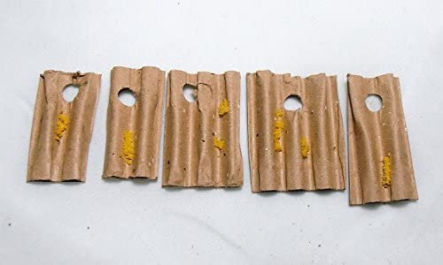 INSECTOSPHERE Oeufs de coccinelles à 7 Points (Coccinella septempunctata) Anti pucerons du Potager ou Rosier - 120 œufs pour 10 m² ou 4 rosiers - Traitement Naturel et Bio.