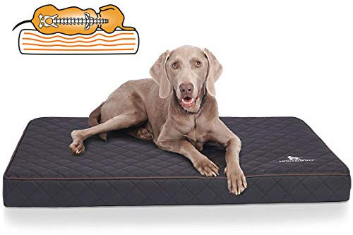 Knuffelwuff Orthopädische Hundematte Juna Hundebett aus laser gestepptem Kunstleder waschbar Hunde ortho orthopädisch memory 78x65cm Schwarz