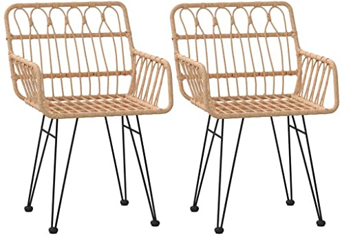 vidaXL Chaises de Jardin 2 pcs et accoudoir 56x64x80 cm Résine tressée, Chaise à dîner, siège de Salle à Manger, Chaise de Patio