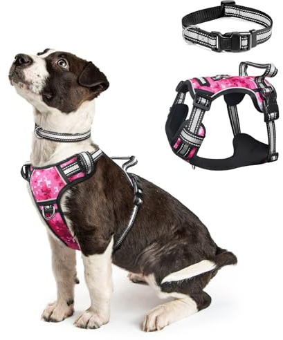WINSEE Dog Harness No Pull, Pet Harnesses with Dog Collar, Adjustable Reflective Oxford Outdoor Vest, Front/Back Leash Clips for Small, Medium, Large, Extra Large Dogs, Easy Control Handle for Walking