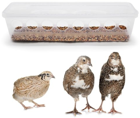 Button Quail Transparent Feeder Flip Top Seed Food Container (8 Holes)