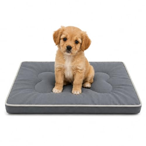 SuperGift.com Grey Small Orthopedic Flat Pet Bed Cushion for Dogs & Cats, Soft Washable Pet Mattress with Bone Pillow Design, Non-Slip Comfortable Sleeping Mat