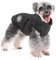 Aywoja Warme Hundemantel Winter, Hundemantel mit Geschirr, Hundemantel für Kleine Hunde Hundemantel Wasserdicht Maschinen Waschbarer Reflektierender Streifen Design Haltbarer D-Ring