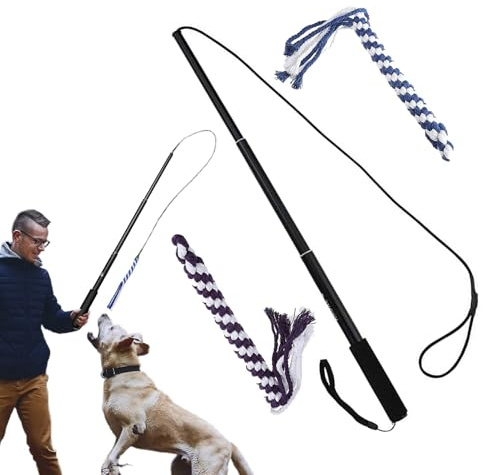 Naqqios Hundflirt: Dostable Teaser Dog Extensible Vittnesbörd för att jaga valpen, en valp svans som jagar hundens svans för jagar