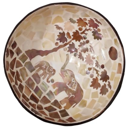 jojofuny Bol Coquille de Noyer Naturelle Bol de Collation Multifonctionnel Écologique pour Bonbons et Snacks Décoration Artisanale Unique pour Salon et Bureau