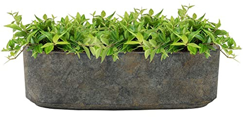 Ivyline Maceta, Cemento, Tierra, 10 x 32 cm