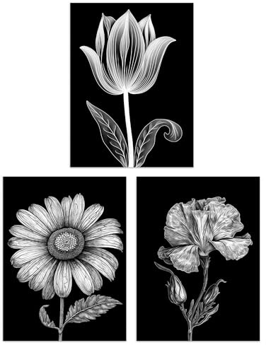 Artery8 Set of 3 Elegant Single Tulip Daisy Rose Spring Flowers Black and White Floral Impact Artworks Unframed Wall Art Living Room Poster Prints Pack