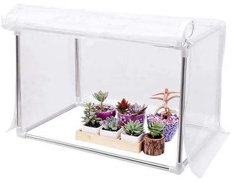 Mini serra – Tenda trasparente per piante, 60 x 30 x 30 cm, serra portatile per coltivare interni, tavolo, balcone, giardino, terrazza, patio, fiori invernali, portico, piante da finestra