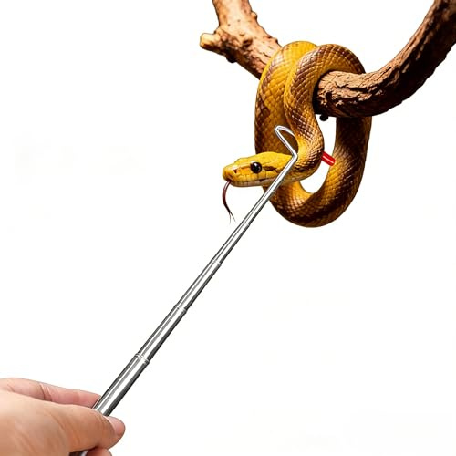 Maslasee Crochet serpent télescopique en acier inoxydable, accessoire pratique pour les amateurs de reptiles, outil serpent réglable, argent, longueur 160 mm à 680 mm