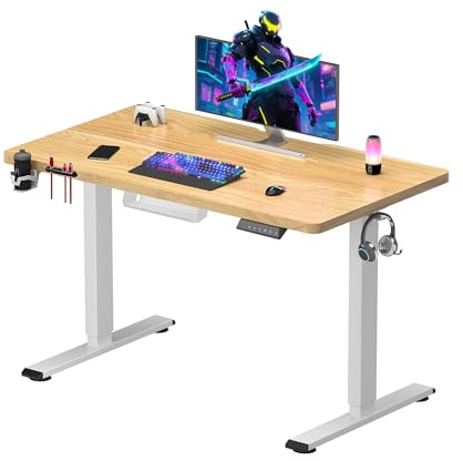 SANODESK QS1 - Scrivania seduta in piedi elettrica, 110 x 54 cm, con vassoio completo, scrivania da gioco, scrivania regolabile in altezza con sistema anti-collaudo, funzione memoria a 4 altezze