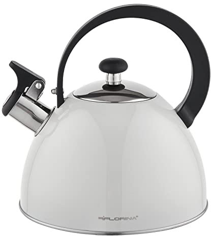 Florina - Tetera de acero inoxidable (2,5 l), color gris claro