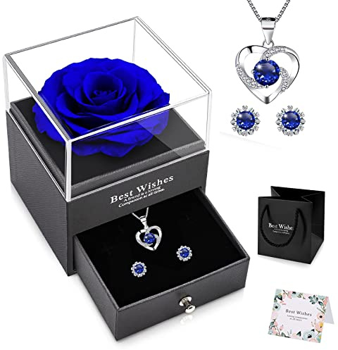 NEWUPZSI Vera rosa eterna gioielli di Natale blu per donne donne mamma fidanzata nonna scatola regalo con collana e orecchini conservati rosa di Babbo Natale idee regalo di compleanno