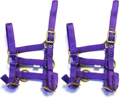 Rhinegold Nylon Foal Headcollar - Purple (Pack of 2)