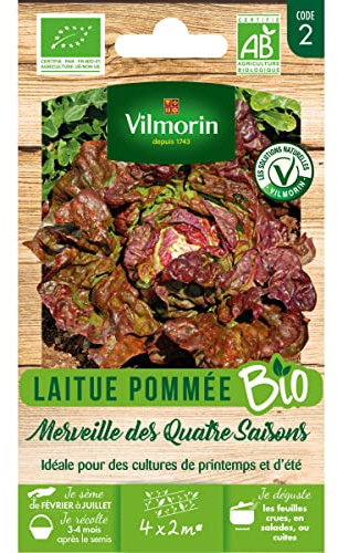 Vilmorin - Sachet de graines Laitue Pommée Merveille des 4 Saisons BIO
