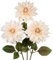 3 Stück Künstliche Dahlie Blumen Weiß, 70cm Kunstblume Seidenblumen mit Langem Stiel für Blumenarrangements, Faux Herbst Blumen für DIY Hochzeit Party Deko Home Office Dekoration