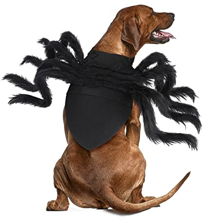 Rypet Costume da ragno per animali domestici, costume di Halloween per gatti e cani di piccola e media taglia, per feste di Halloween, festival, cosplay, animali domestici