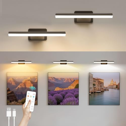 AMFUN 2 styck bildbelysning trådlös, vägglampa inomhus med timer fjärrkontroll, LED-vägglampa med 3 färgtemperaturer, vägglampa för målning foto porträtt, svart